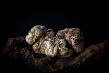 Load image into Gallery viewer, Extremely Fresh White Truffles (tuber Magnatum Pico)