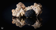 Load image into Gallery viewer, Extremely Fresh Truffles Mixed White &amp; Black
